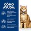 82 g Hill’s Prescription Diet c/d Urinary Care Pollo lata para gatos, , large indicador imagen numero 4